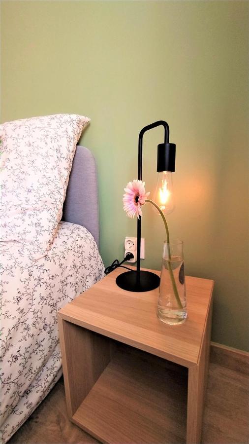 Villa Poete Avec Jardin 3 Chambres Parking Gratuit 图尔内菲乌勒 外观 照片